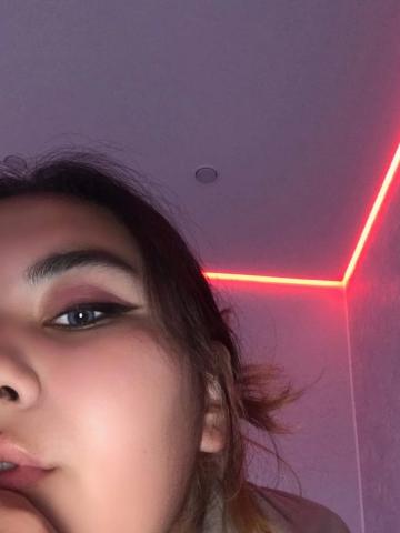 Аиста фото 4